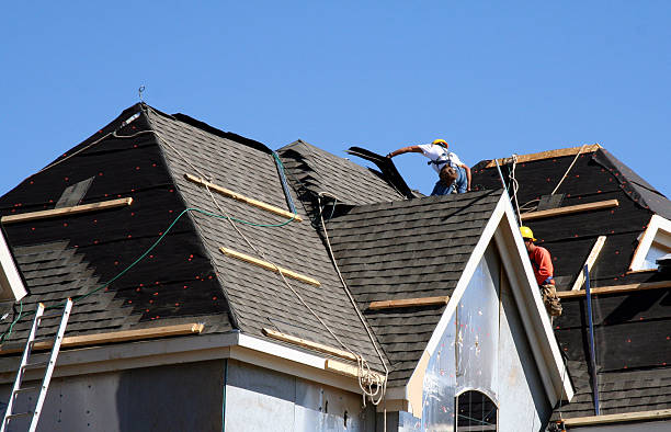Best Storm Damage Roof Repair  in Morenci, AZ