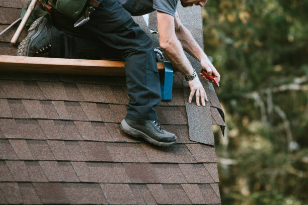 Best Roof Leak Repair  in Morenci, AZ